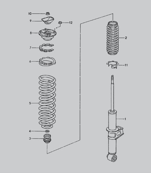 Shock absorber, coil spring
